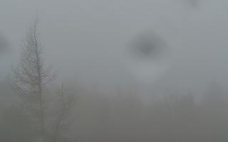 Jaworzyna Krynicka 2 - 03-11-2025 07:55