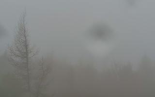 Jaworzyna Krynicka 2 - 03-11-2025 08:02