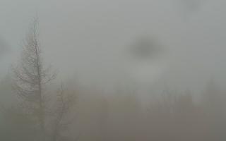 Jaworzyna Krynicka 2 - 03-11-2025 08:10