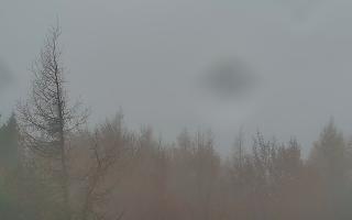 Jaworzyna Krynicka 2 - 03-11-2025 08:18