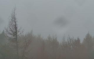 Jaworzyna Krynicka 2 - 03-11-2025 08:25