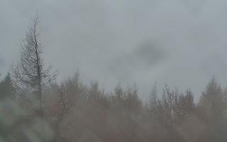 Jaworzyna Krynicka 2 - 03-11-2025 08:33