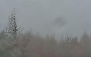 Jaworzyna Krynicka 2 - 03-11-2025 08:40