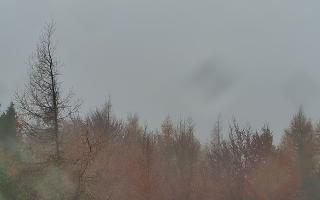 Jaworzyna Krynicka 2 - 03-11-2025 08:48