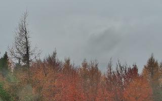 Jaworzyna Krynicka 2 - 03-11-2025 08:56