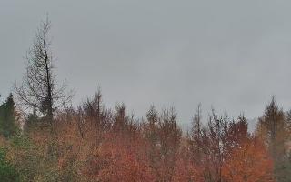 Jaworzyna Krynicka 2 - 03-11-2025 09:11