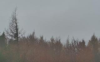 Jaworzyna Krynicka 2 - 03-11-2025 09:18