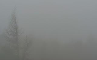 Jaworzyna Krynicka 2 - 03-11-2025 09:26