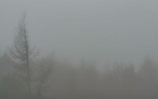 Jaworzyna Krynicka 2 - 03-11-2025 09:34