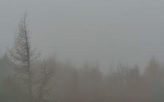 Jaworzyna Krynicka 2 - 03-11-2025 09:41