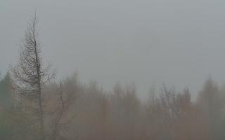 Jaworzyna Krynicka 2 - 03-11-2025 09:49