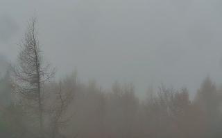 Jaworzyna Krynicka 2 - 03-11-2025 09:56