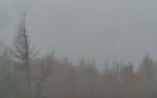 Jaworzyna Krynicka 2 - 03-11-2025 10:04