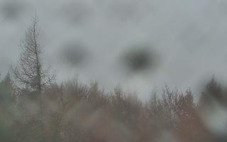 Jaworzyna Krynicka 2 - 03-11-2025 10:12