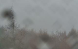 Jaworzyna Krynicka 2 - 03-11-2025 10:19