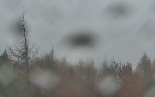 Jaworzyna Krynicka 2 - 03-11-2025 10:27