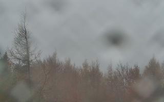 Jaworzyna Krynicka 2 - 03-11-2025 10:34