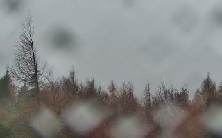 Jaworzyna Krynicka 2 - 03-11-2025 10:42