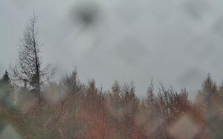 Jaworzyna Krynicka 2 - 03-11-2025 10:49