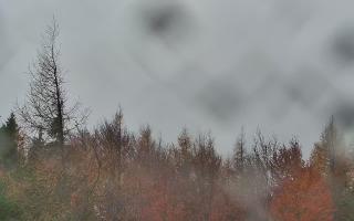 Jaworzyna Krynicka 2 - 03-11-2025 10:57