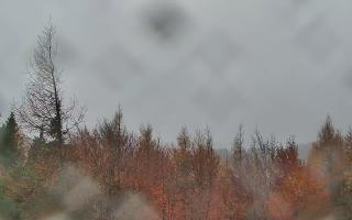 Jaworzyna Krynicka 2 - 03-11-2025 11:05