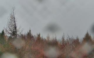 Jaworzyna Krynicka 2 - 03-11-2025 11:12