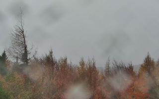 Jaworzyna Krynicka 2 - 03-11-2025 11:20