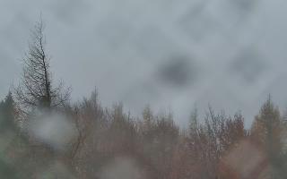 Jaworzyna Krynicka 2 - 03-11-2025 11:27