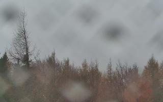 Jaworzyna Krynicka 2 - 03-11-2025 11:35