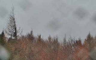 Jaworzyna Krynicka 2 - 03-11-2025 11:43