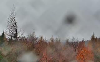 Jaworzyna Krynicka 2 - 03-11-2025 11:50