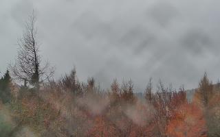 Jaworzyna Krynicka 2 - 03-11-2025 11:58