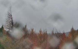 Jaworzyna Krynicka 2 - 03-11-2025 12:05