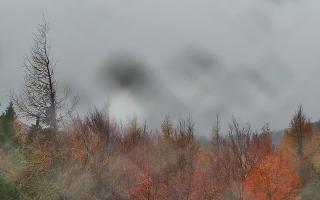 Jaworzyna Krynicka 2 - 03-11-2025 12:13