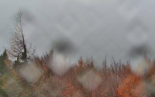 Jaworzyna Krynicka 2 - 03-11-2025 12:21