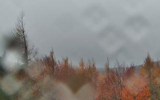 Jaworzyna Krynicka 2 - 03-11-2025 12:28