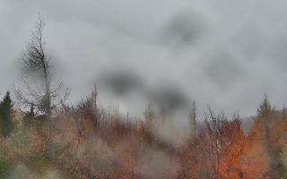 Jaworzyna Krynicka 2 - 03-11-2025 12:36