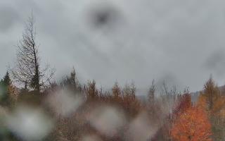 Jaworzyna Krynicka 2 - 03-11-2025 12:43