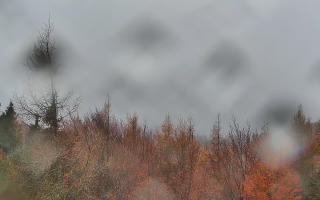 Jaworzyna Krynicka 2 - 03-11-2025 12:51