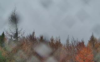 Jaworzyna Krynicka 2 - 03-11-2025 12:59