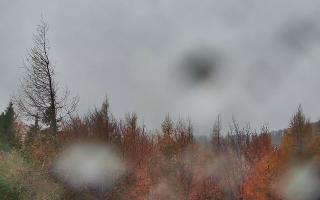 Jaworzyna Krynicka 2 - 03-11-2025 13:06