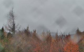 Jaworzyna Krynicka 2 - 03-11-2025 13:14