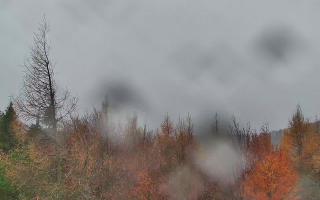 Jaworzyna Krynicka 2 - 03-11-2025 13:21