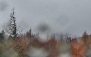 Jaworzyna Krynicka 2 - 03-11-2025 13:29