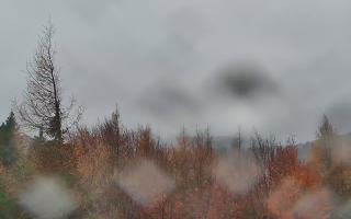 Jaworzyna Krynicka 2 - 03-11-2025 13:37