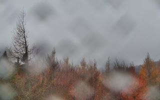 Jaworzyna Krynicka 2 - 03-11-2025 13:44