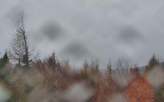 Jaworzyna Krynicka 2 - 03-11-2025 13:52