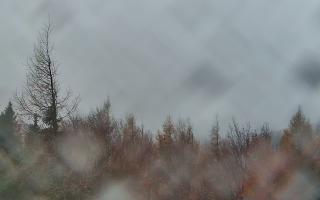 Jaworzyna Krynicka 2 - 03-11-2025 14:53