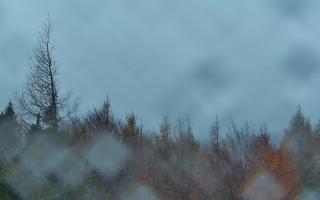 Jaworzyna Krynicka 2 - 03-11-2025 15:00