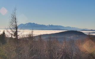 Jaworzyna Krynicka 2 - 13-12-2025 12:16